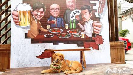 深夜食堂的灵魂!暖黄灯光下的治愈系小馆 深夜食堂的灵魂!暖黄灯光下的治愈系小馆