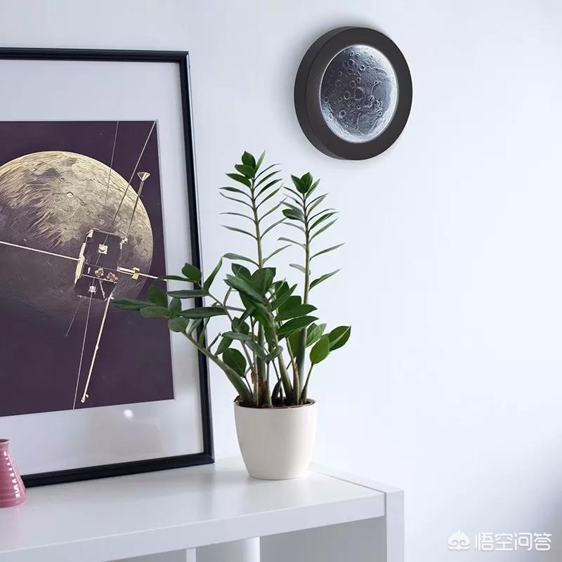 民宿网红打卡点!创意吊灯,让每个房间都成为爆款 民宿网红打卡点!创意吊灯,让每个房间都成为爆款